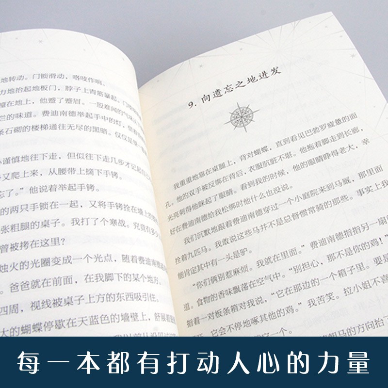 长青藤国际大奖小说书系·第十二辑——追星星的女孩