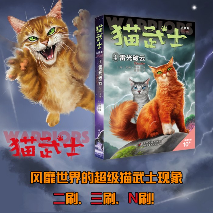 猫武士八部曲无星之族（4）——雷光破云