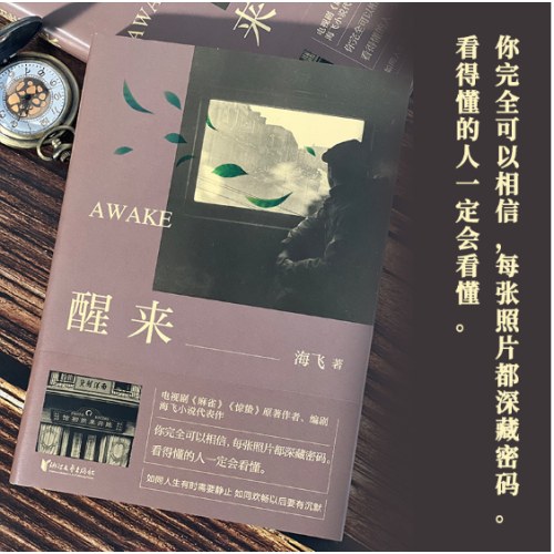 醒来（海飞作品，欧豪、古丽娜扎、江疏影主演电视剧原著小说）