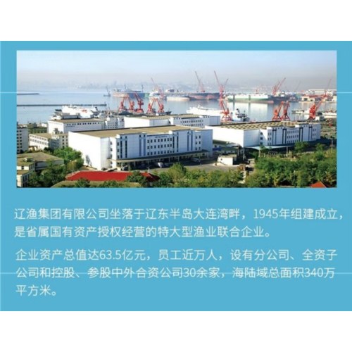 远洋 辽渔水浸金枪鱼罐头185g*6罐 低脂 健身代餐沙拉 三明冶夹心食材