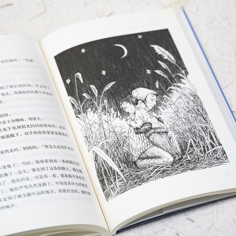 全国优秀儿童文学奖·大奖书系·再见了，我的小星星
