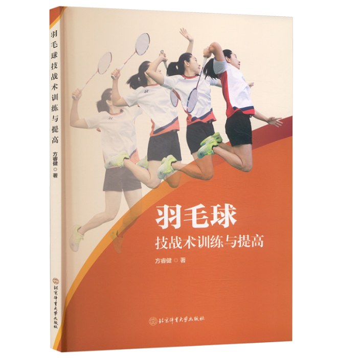 羽毛球技战术训练与提高