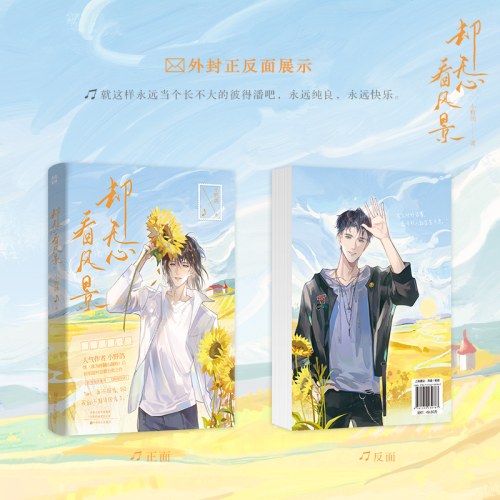 却无心看风景
