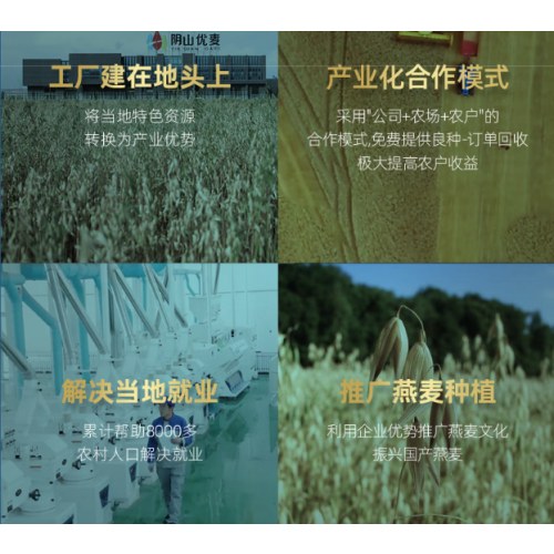 阴山优麦有机胚芽燕麦片1.08千克桶装
