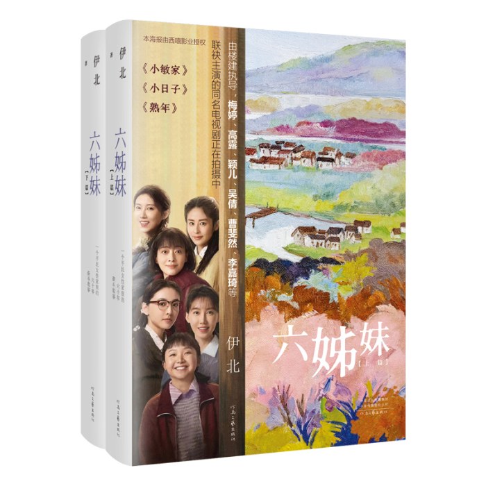 六姊妹（同名电视剧2025年播出由楼建执导，梅婷、陆毅、邬君梅、奚美娟、高露、颖儿、吴倩、曹斐然、李嘉琦等主演）