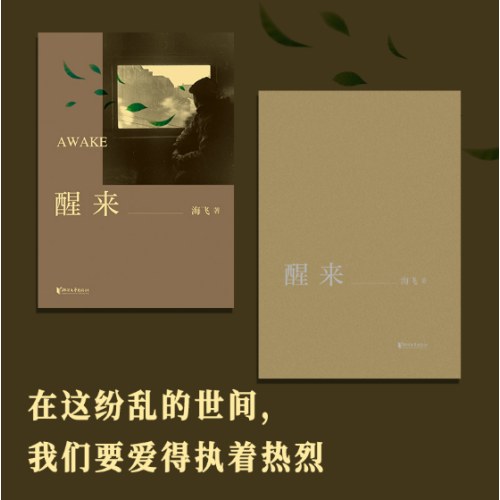 醒来（海飞作品，欧豪、古丽娜扎、江疏影主演电视剧原著小说）