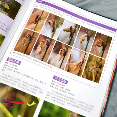 小学生昆虫大图鉴