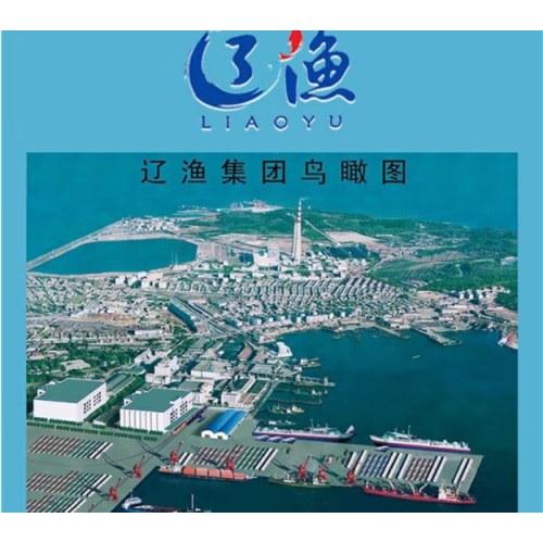 远洋 辽渔水浸金枪鱼罐头185g*6罐 低脂 健身代餐沙拉 三明冶夹心食材