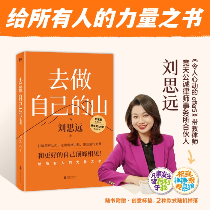 去做自己的山【赠随机创意杯垫*1】刘思远 《令人心动的offer5》带教律师 帮助打破固有思维 穿越迷茫周期
