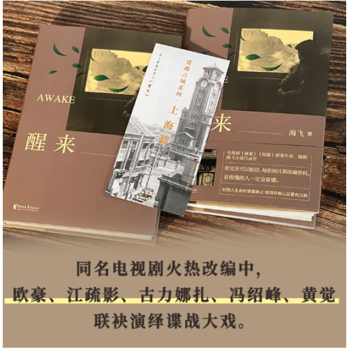 醒来（海飞作品，欧豪、古丽娜扎、江疏影主演电视剧原著小说）