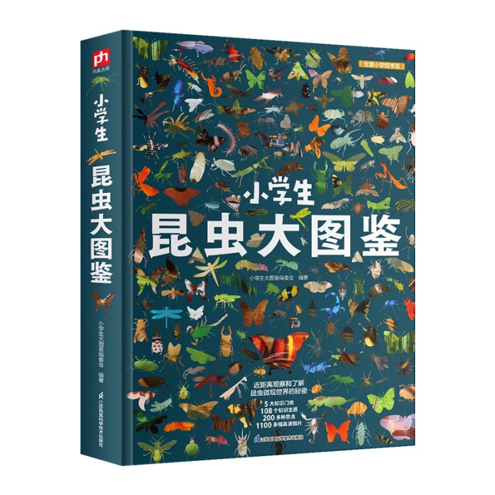小学生昆虫大图鉴