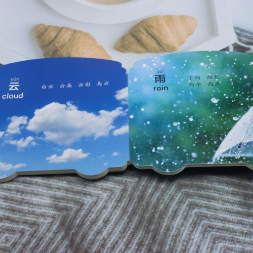 爱德少儿：宝宝早教翻翻卡·识字