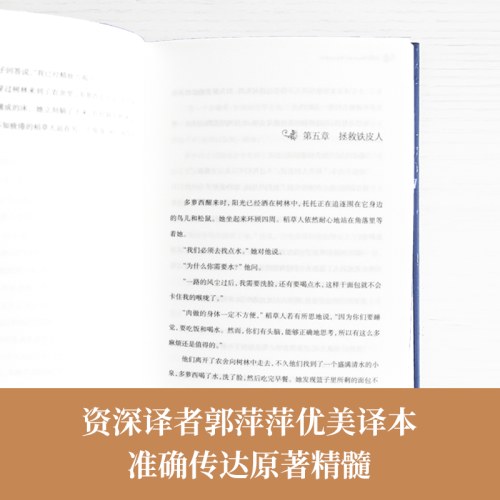 经典译林：绿野仙踪
