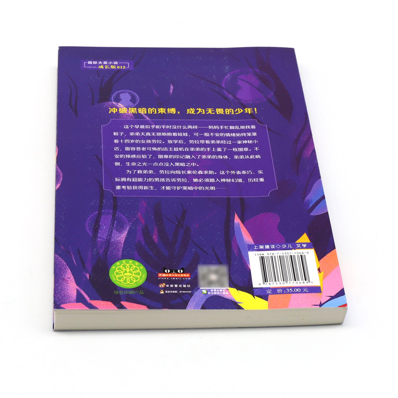 国际大奖小说·成长版--黑暗中的守护者