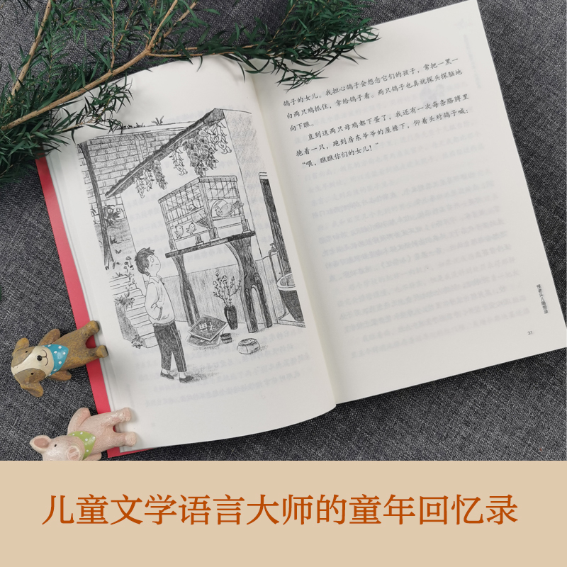 全国优秀儿童文学奖·大奖书系·怪老头儿随想录