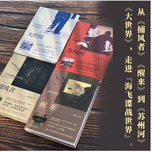 醒来（海飞作品，欧豪、古丽娜扎、江疏影主演电视剧原著小说）