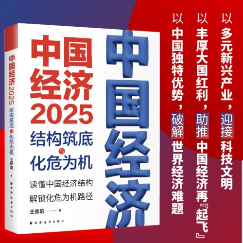 中国经济.2025：结构筑底与化危为机