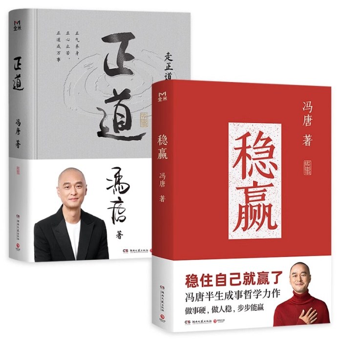 正道+稳赢（2册）(冯唐）