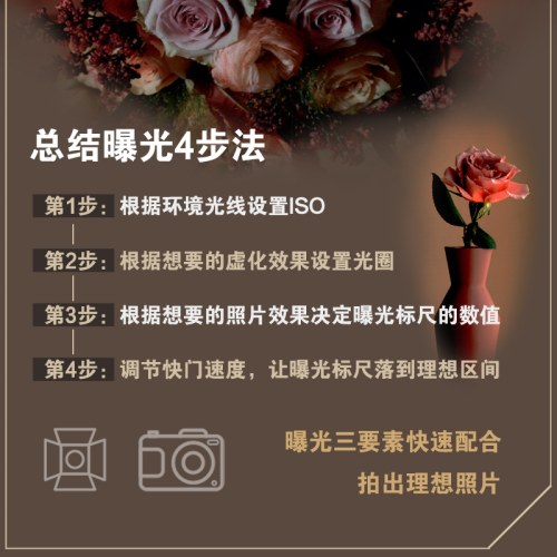 花艺摄影速学教程