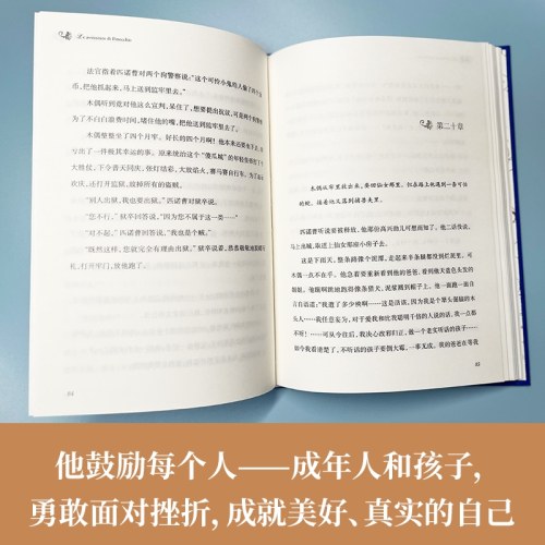 经典译林：木偶奇遇记