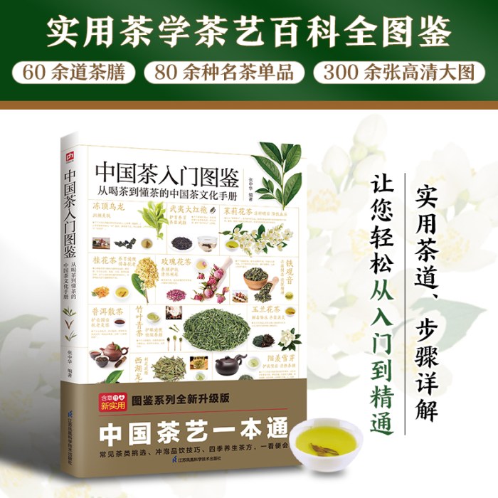 中国茶入门图鉴