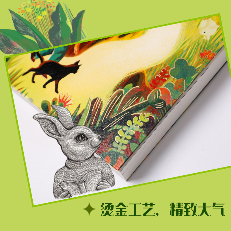 寻找林木森书店
