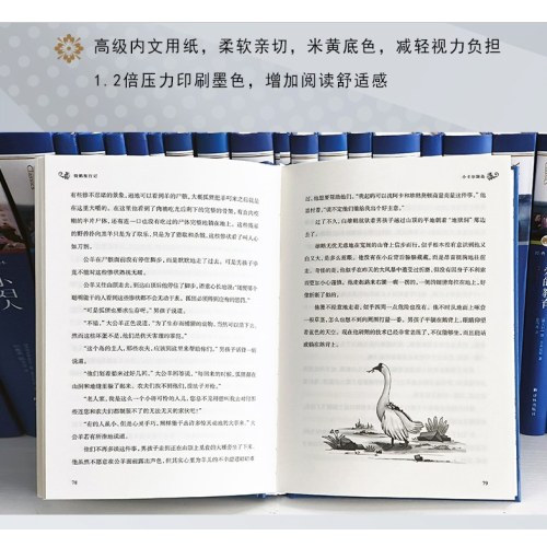 经典译林：骑鹅旅行记