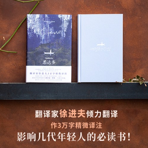 悉达多：流浪者之歌