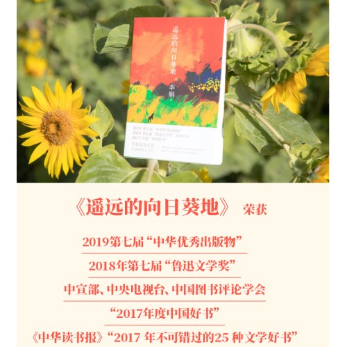 遥远的向日葵地