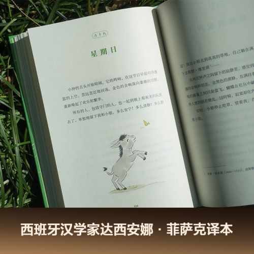 小银和我
