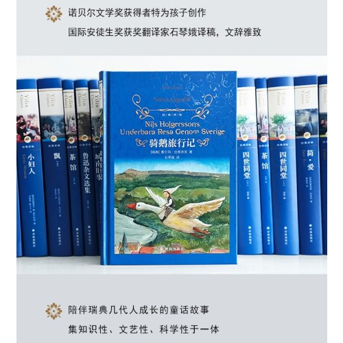 经典译林：骑鹅旅行记
