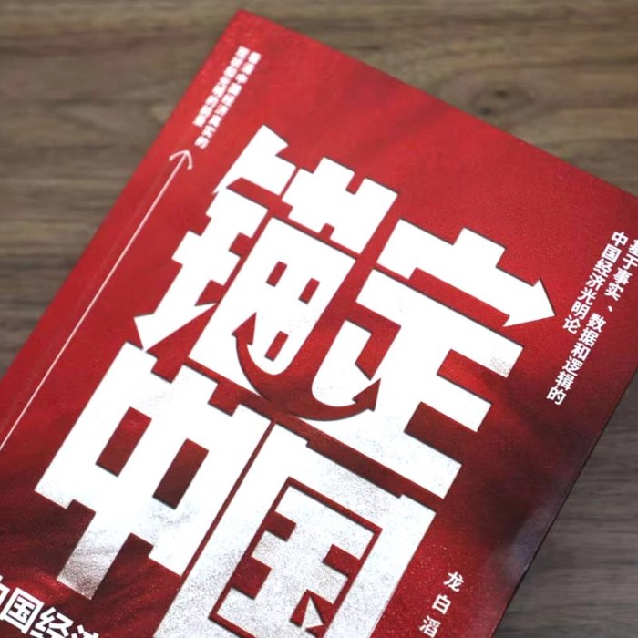锚定中国：中国经济的真相与使命
