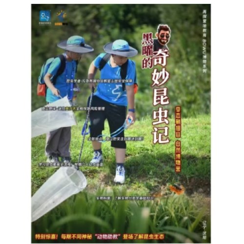 野趣昆虫一奇妙昆虫记