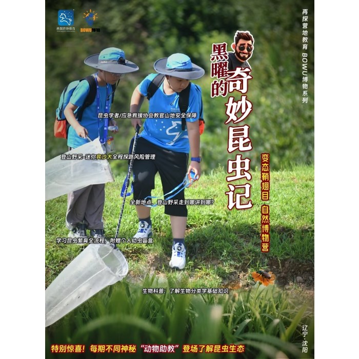 【自然探索】野趣昆虫——奇妙昆虫记