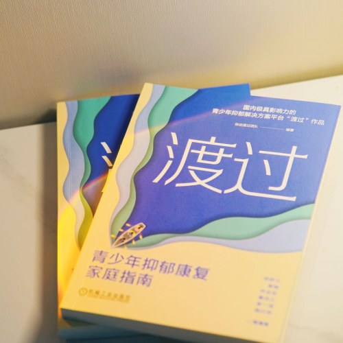 渡过：青少年抑郁康复家庭指南