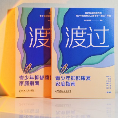 渡过：青少年抑郁康复家庭指南