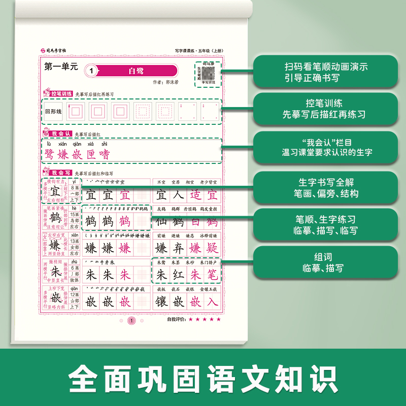 司马彦字帖-写字课课练-五年级（2025秋上册）（人教版）