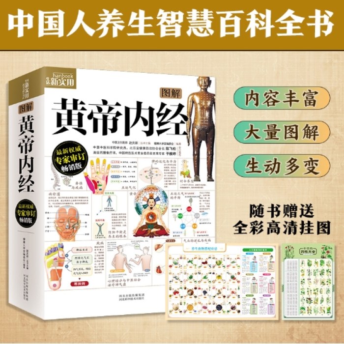 图解黄帝内经 挂图版