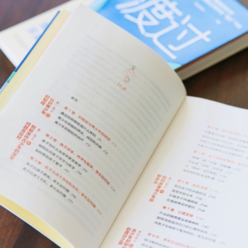 渡过：青少年抑郁康复家庭指南