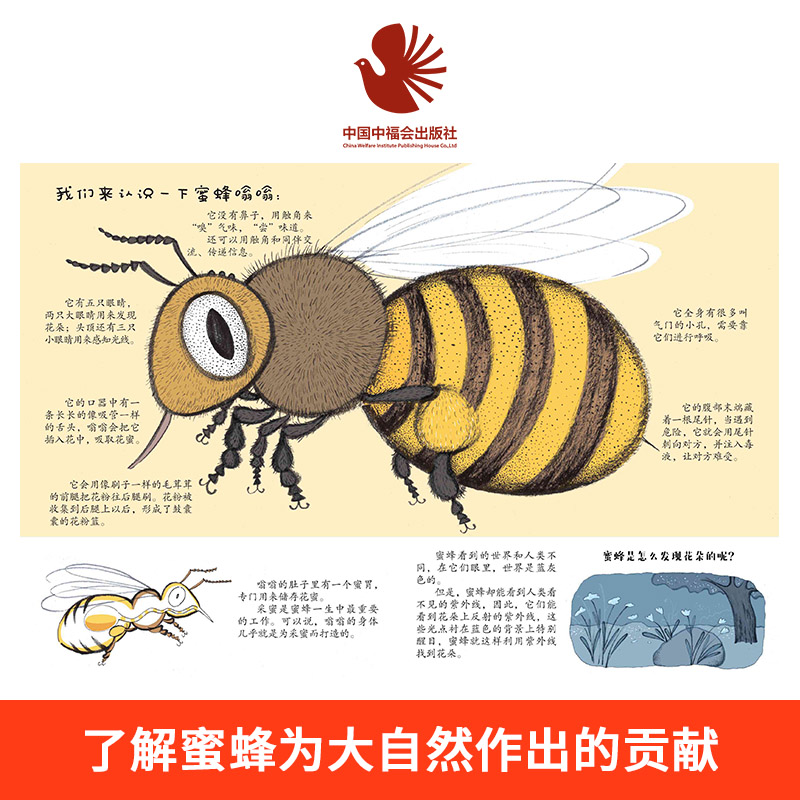 儿童时代图画书：蜜蜂嗡嗡