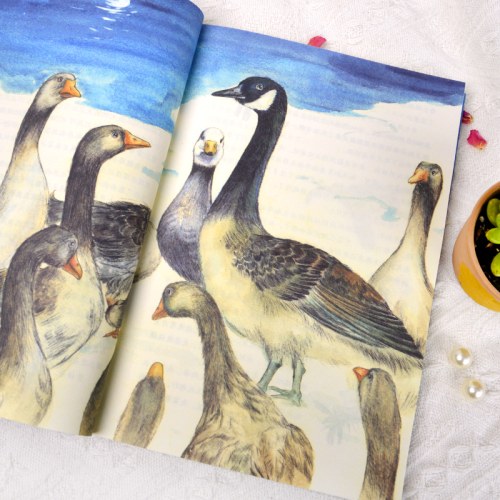 红蜡烛与美人鱼