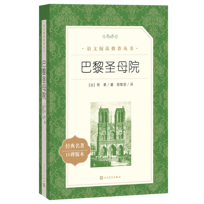 巴黎圣母院(教育部统编《语文》推荐阅读丛书）
