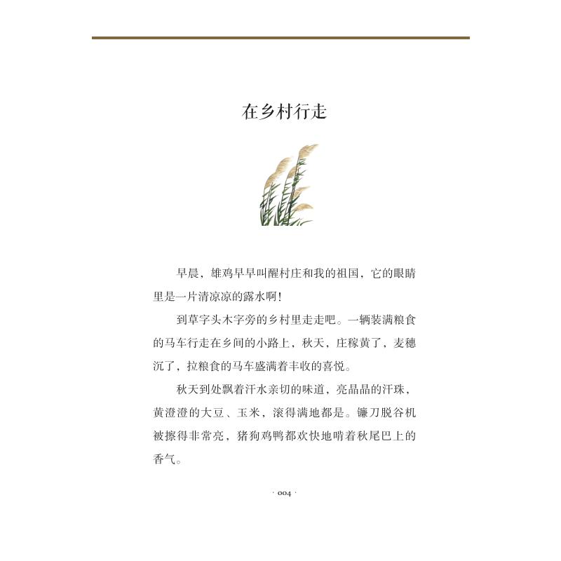 暖心自然笔记：我是人间草木