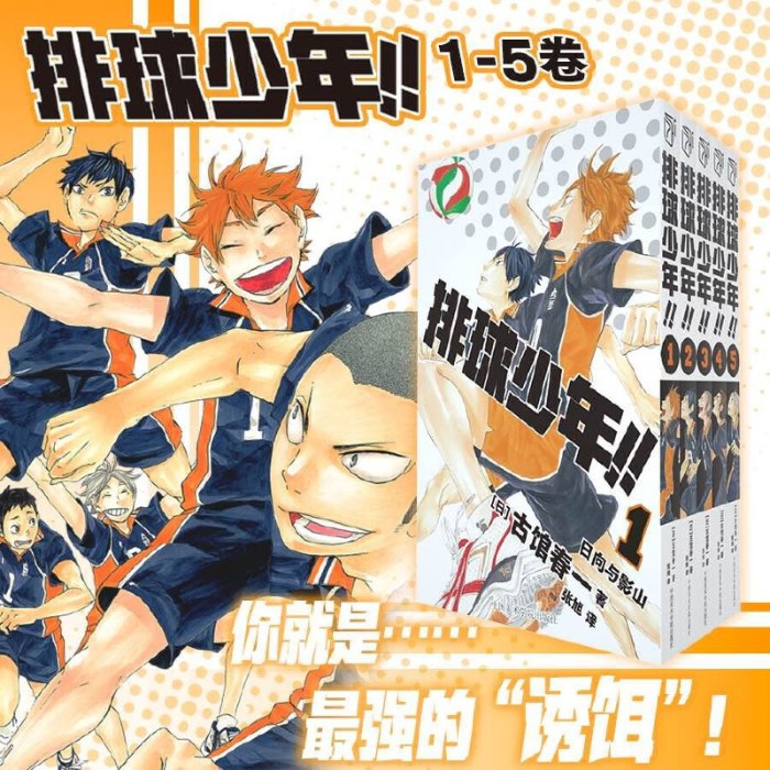 排球少年！！1-5册