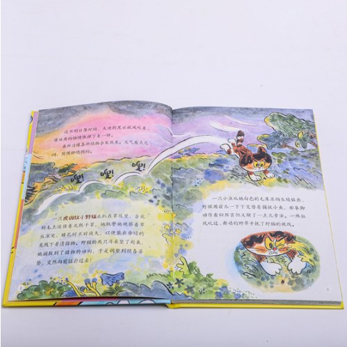 妙奇奇事务所：拯救暴雨危机