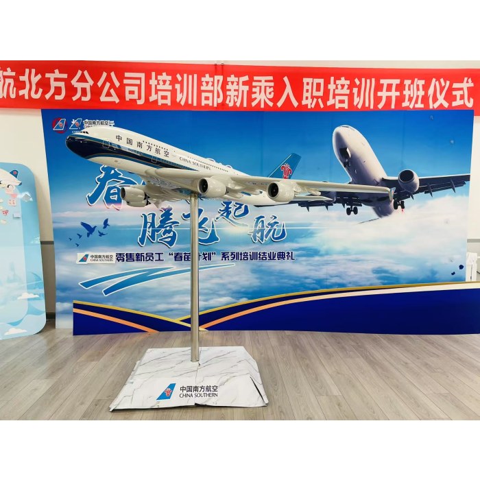 【职业体验】小小飞行员成人陪同