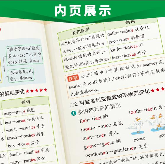 图解速记-初中英语语法(考频版)(2026第12次修订)