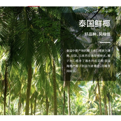 if 【肖战推荐】100%天然椰子水泰国进口果汁饮料1L*6瓶