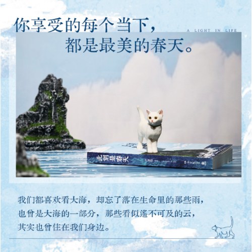 此刻是春天  卢思浩2025全新长篇力作