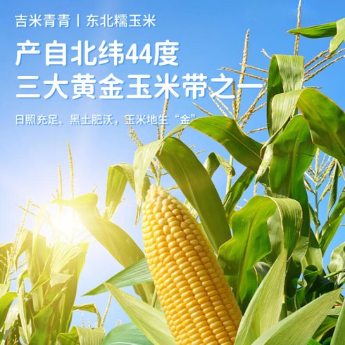 吉米青青甜玉米